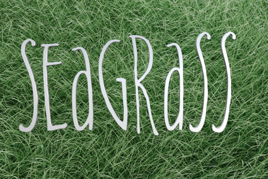 seagrass